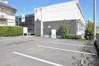 hashimaCelebrities Rentals[Celebrities]leopalace Fasil