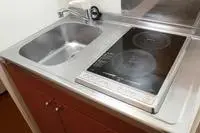 fujinomiya city Rentalsleopalace KK