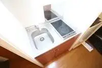 京田边市民宿租房[民宿]leopalace Cool de Lotus