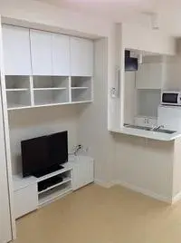 Tokyo RentalsLEONEXT Fiore