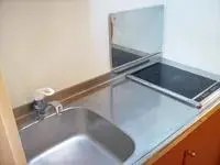 Kawagoe Rentalsleopalace Mowa