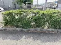 岐阜市单身公寓租房[单身公寓]leopalace in Rokujyo