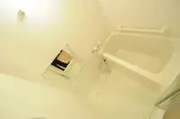 izumo city RentalsCLEINO June Berry