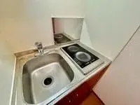 suwa city Rentalsleopalace affection