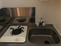 ChibaStudy Overseas Accommodation Booking