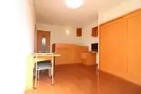 Hikone Rentalsleopalace GII