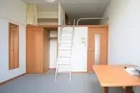 Hiratsuka Rentalsleopalace First Step