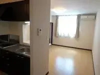 Niigata RentalsLEONEXT JK 3