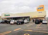 daisen RentalsLEONEXT M55