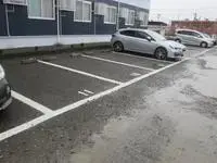 Niigata Rentalsleopalace T-F