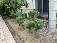 岐阜市单身公寓租房[单身公寓]leopalace Merveille