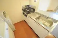 nakai town, ashigarakami district Rentalsleopalace Soleil