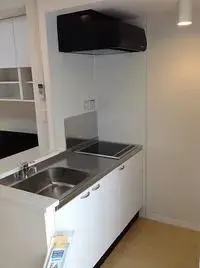 Tokyo RentalsLEONEXT Fiore