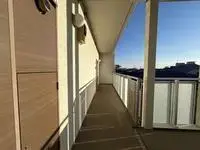 足立区单身公寓租房[单身公寓]LEONEXT Chrysans