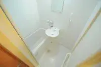 Hiratsuka Rentalsleopalace Suzuki Nigoutou