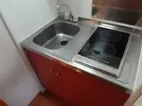 fuji city Rentalsleopalace Proceed