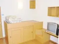 iga city Rentalsleopalace Furusato