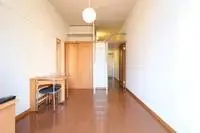 Hikone Rentalsleopalace Sulus