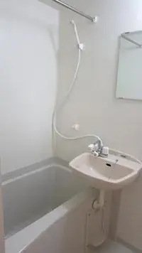 Kawagoe Rentalsleopalace Florasion III