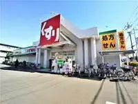 Soka Rentalsleopalace SERENA IV