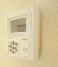 Saga RentalsCLEINO HARU