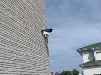 nobeokaSingle Apartment Rentals[Single Apartment]CLEINO Estrela