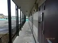 echizen cityWeekly Rental  Rentals[Weekly Rental ]leopalace Toshi