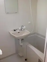 Saitama Rentalsleopalace Birdie