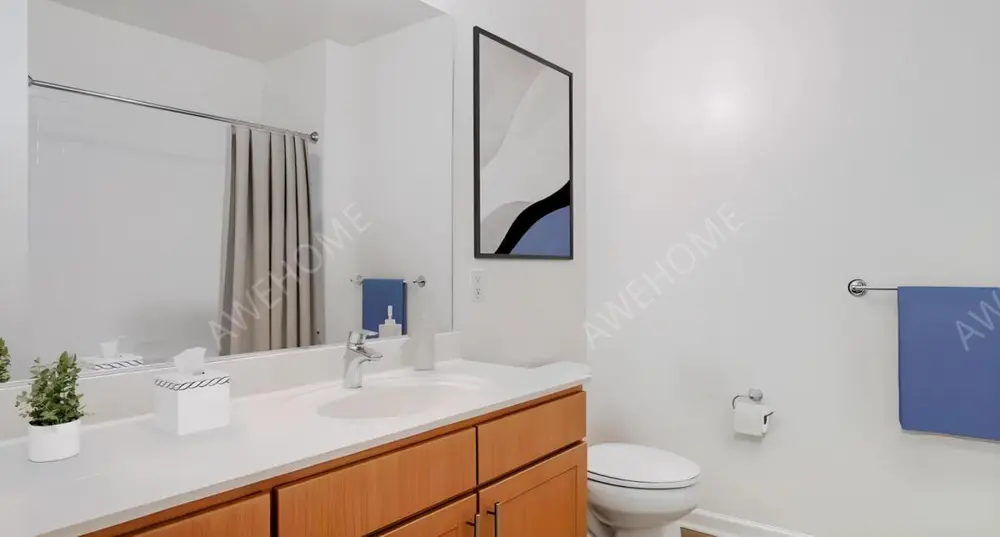 NewYorkSingle Apartment Rentals[Single Apartment]Avalon Rockville Centre