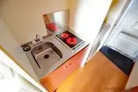 Kumamoto Rentalsleopalace vagengatan