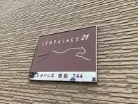 takeoCelebrities Rentals[Celebrities]leopalace Mifune 744