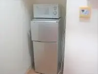 nagaizumi town, sunto district Rentalsleopalace KAZU