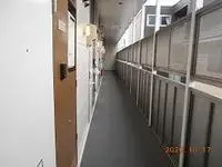 FukuiBNB Rentals[BNB]leopalace Collage