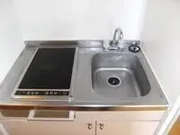 nagaizumi town, sunto district Rentalsleopalace Mirai