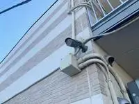 平冢市酒店式公寓