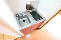 maizuru city Rentalsleopalace Iwate