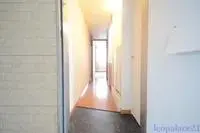 Hachioji Rentalsleopalace Cenote