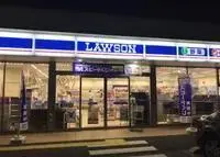 Kawagoe Rentalsleopalace Housenka