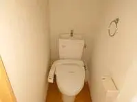 Kawagoe Rentalsleopalace Carnival I