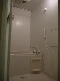 ōamishirasato city周租房