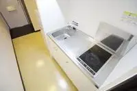 Osaka RentalsLEONEXT Iefu