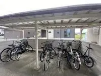 komatsu Rentalsleopalace Camellia