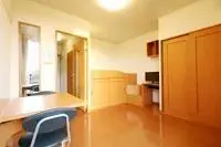 Hikone Rentalsleopalace Chaos