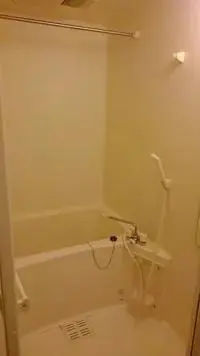 kamikawa town, kodama district RentalsLEONEXT Avenir