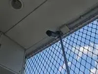 taishi-cho ibo-gun Rentalsleopalace Koto