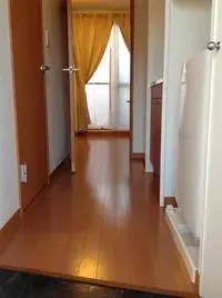 平冢市租房leopalace Wing II