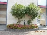 eiheiji town, yoshida district Rentalsleopalace Etoile