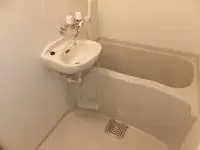 Shizuoka Rentalsleopalace Autumn V