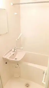 kumagaya city Rentalsleopalace Y-S