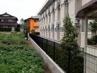 takahama town, ōi district Rentalsleopalace CARROT